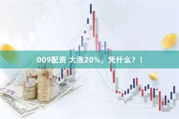 009配资 大涨20%，凭什么？！