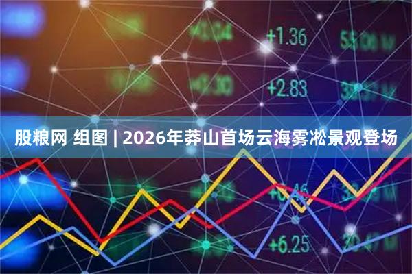 股粮网 组图 | 2026年莽山首场云海雾凇景观登场