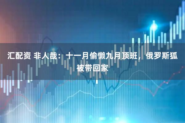 汇配资 非人哉：十一月偷懒九月顶班，俄罗斯狐被带回家