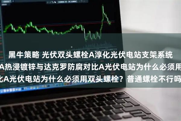 黑牛策略 光伏双头螺栓A淳化光伏电站支架系统连接使用光伏双头螺栓A热浸镀锌与达克罗防腐对比A光伏电站为什么必须用双头螺栓？普通螺栓不行吗？