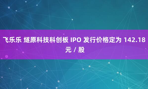飞乐乐 燧原科技科创板 IPO 发行价格定为 142.18 元 / 股